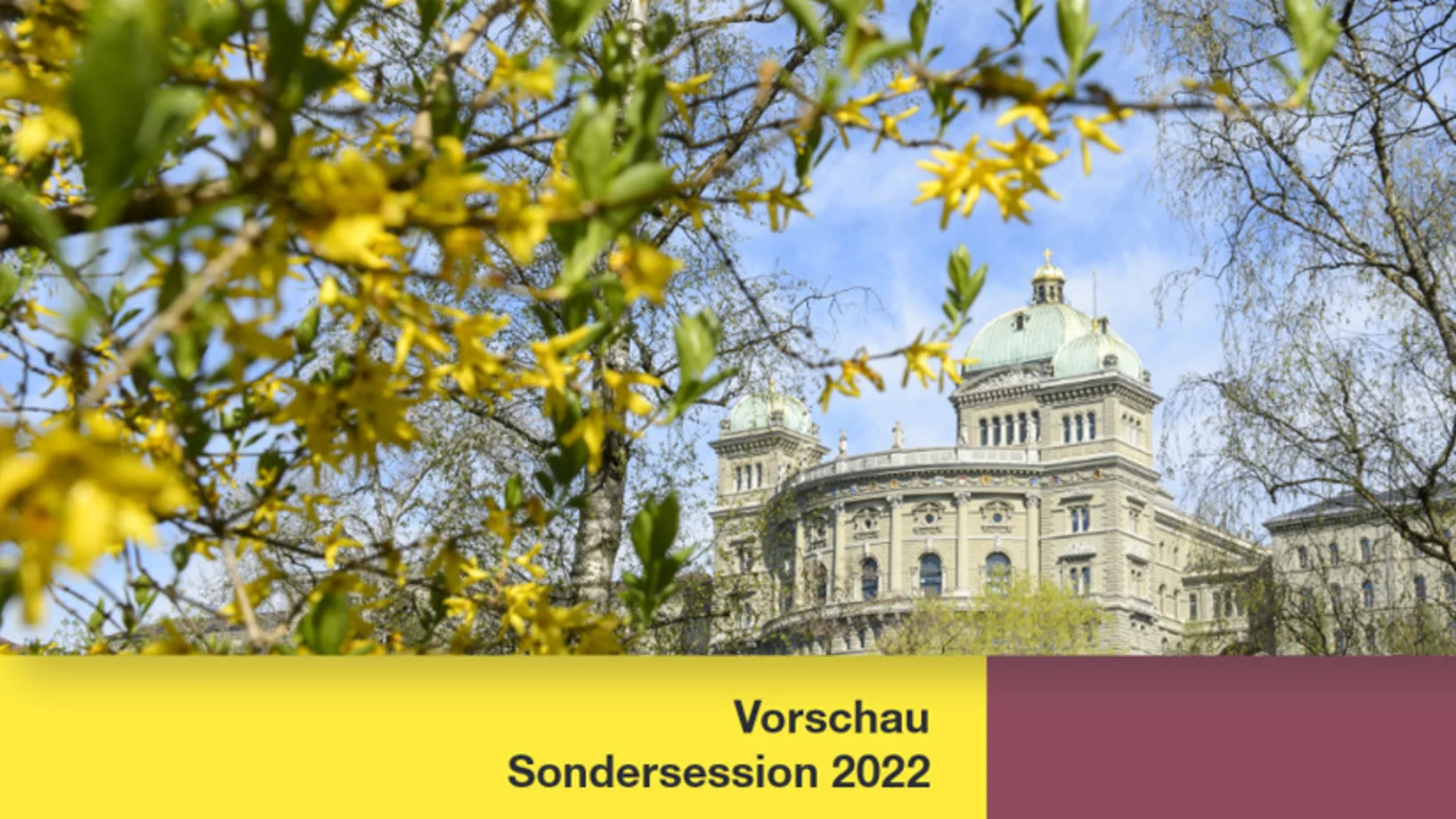 Vorschau Sondersession 2022
