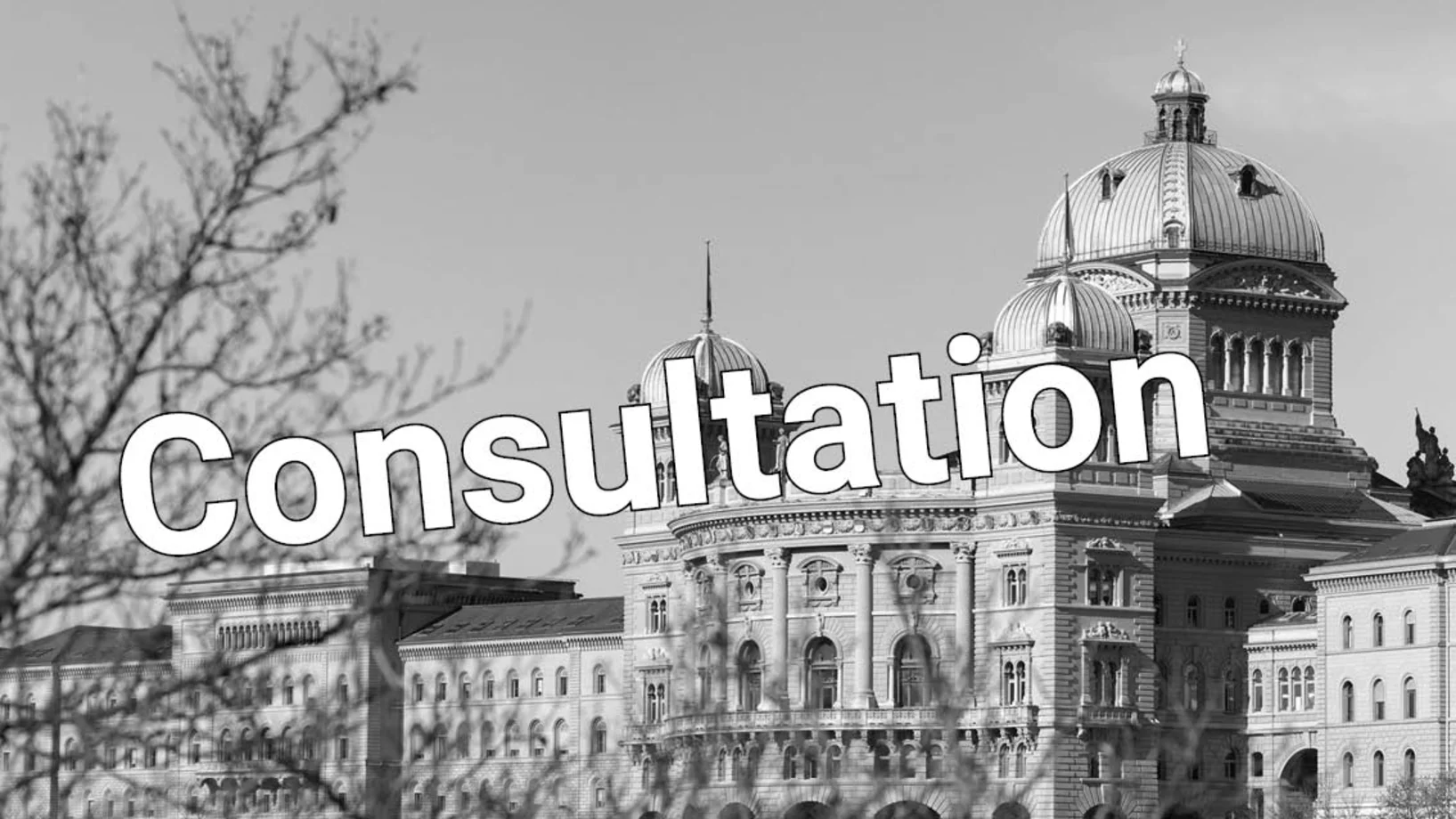 Consultation