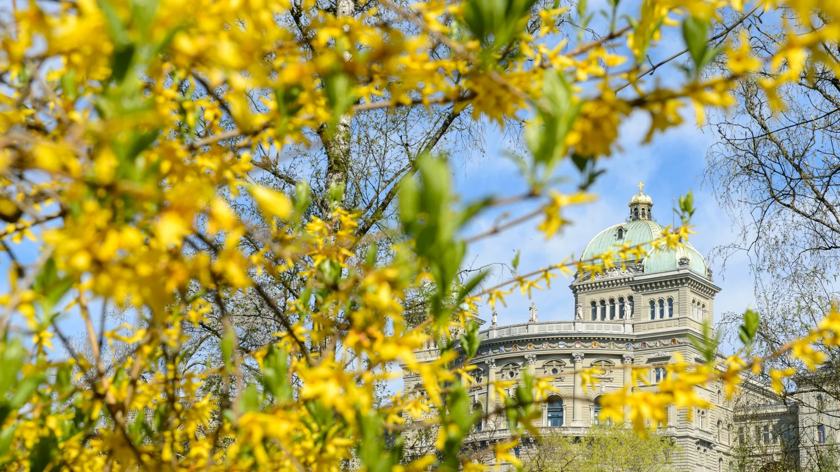 Bundeshaus Frühling